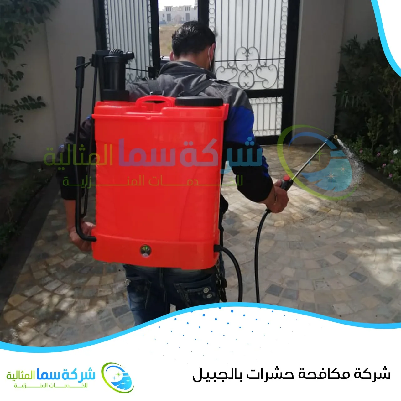 شركة مكافحة حشرات بالجبيل