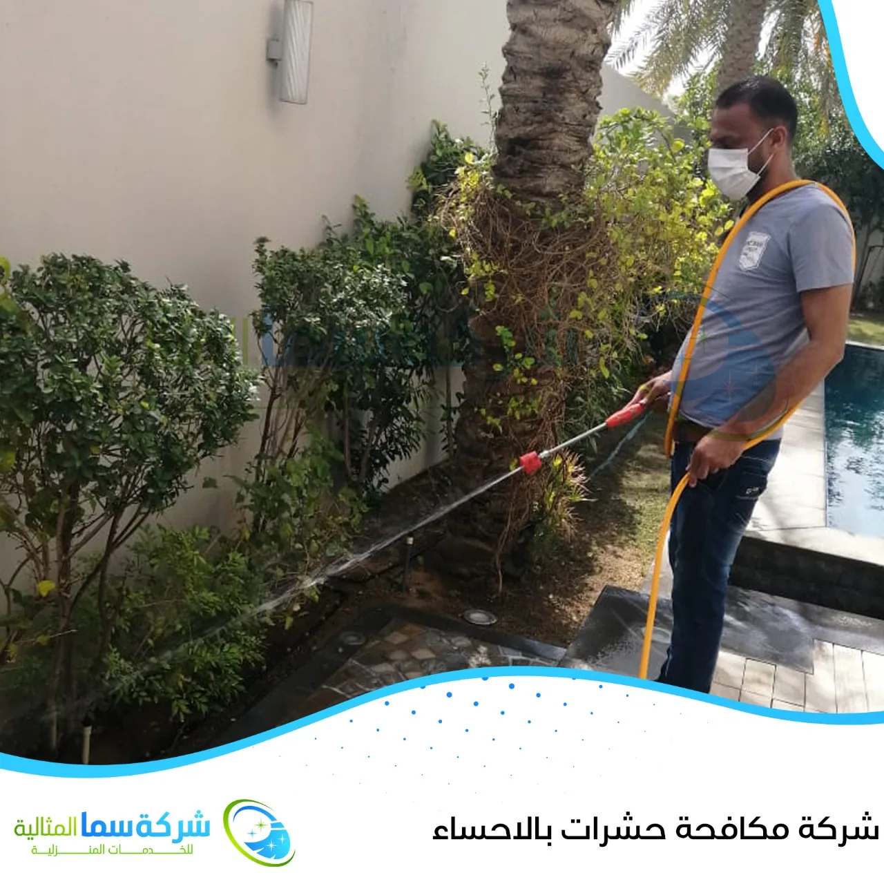 شركة مكافحة حشرات بالاحساء