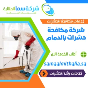 شركة مكافحة حشرات بالدمام