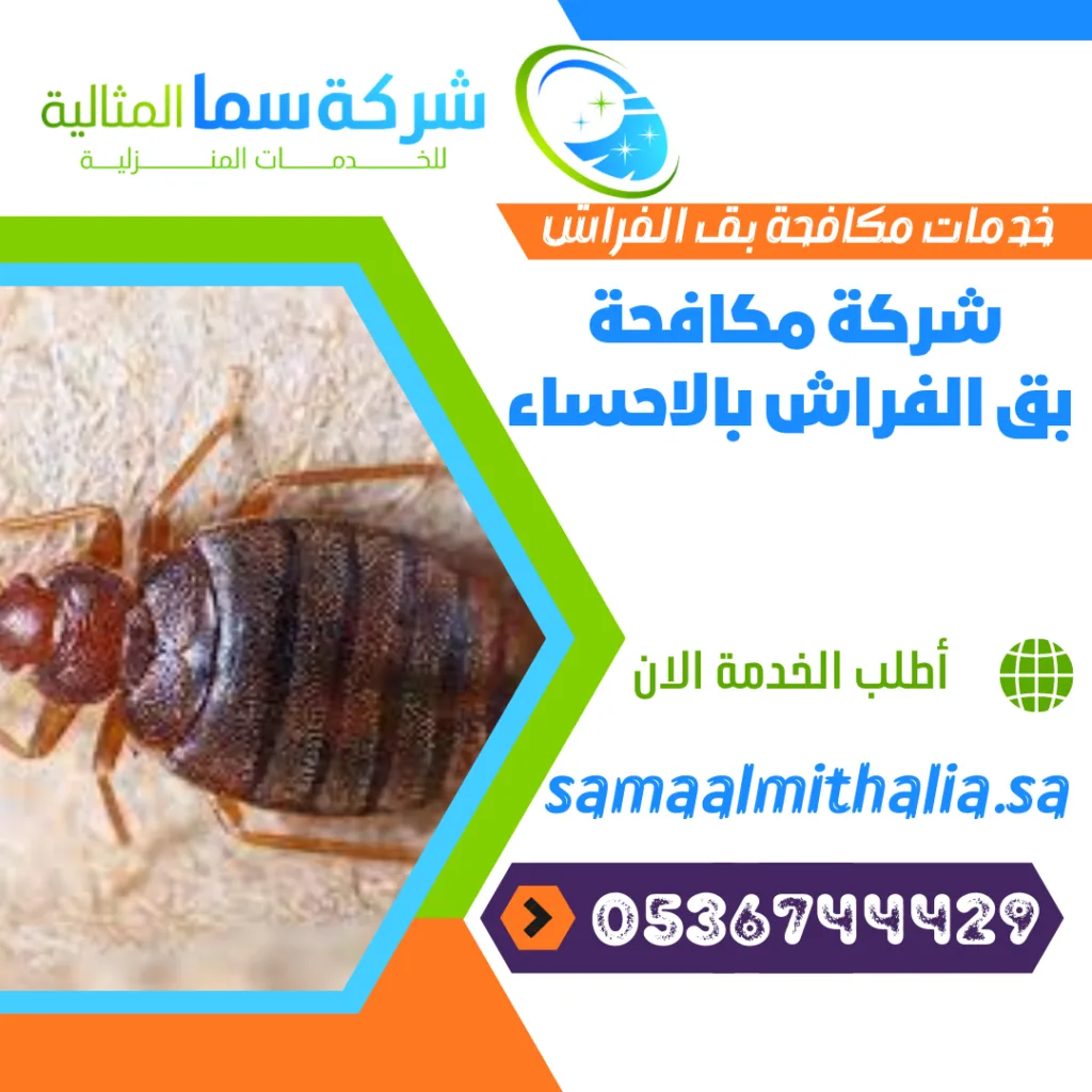 شركة مكافحة بق الفراش بالاحساء شركة مكافحة بق الفراش بالاحساء