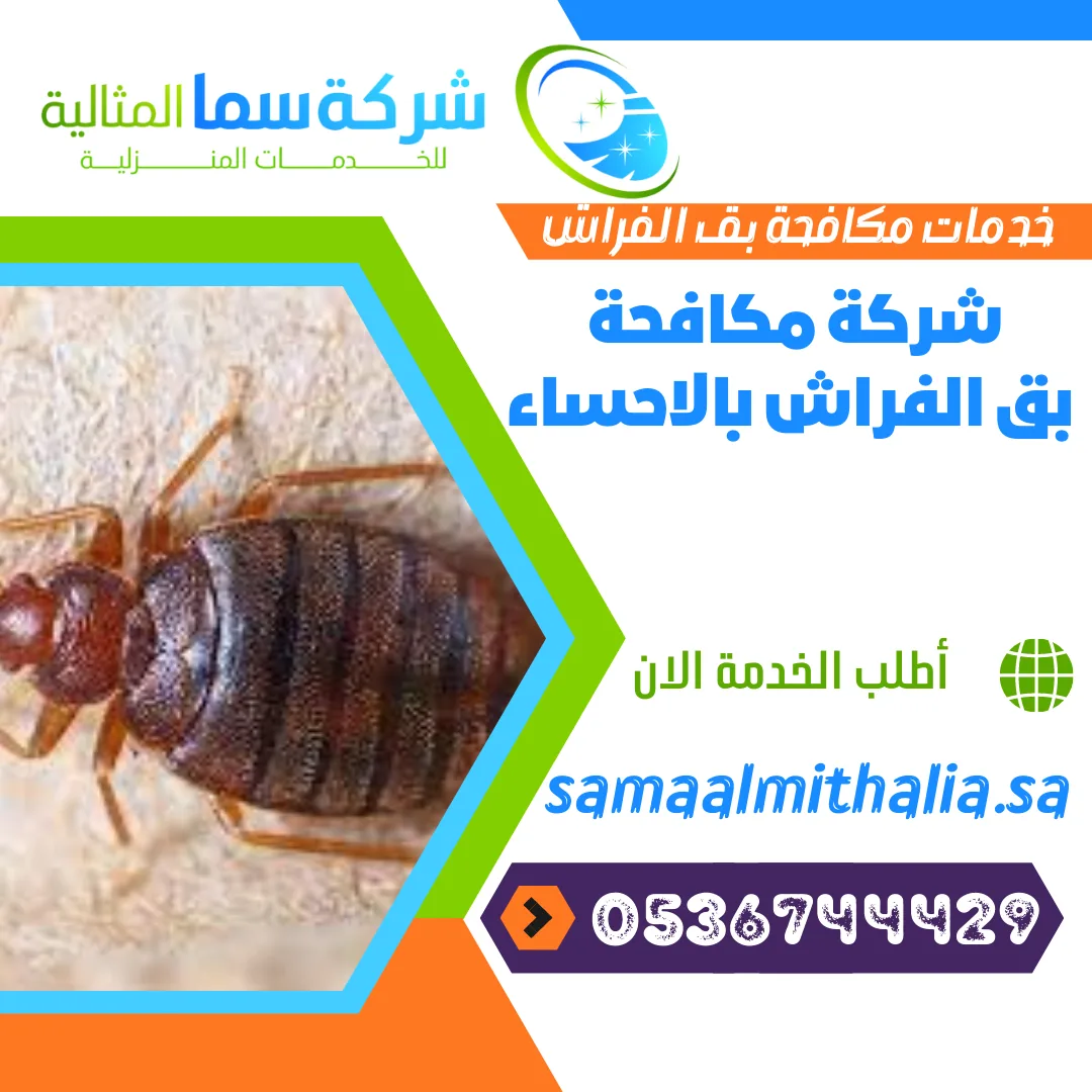شركة مكافحة بق الفراش بالاحساء