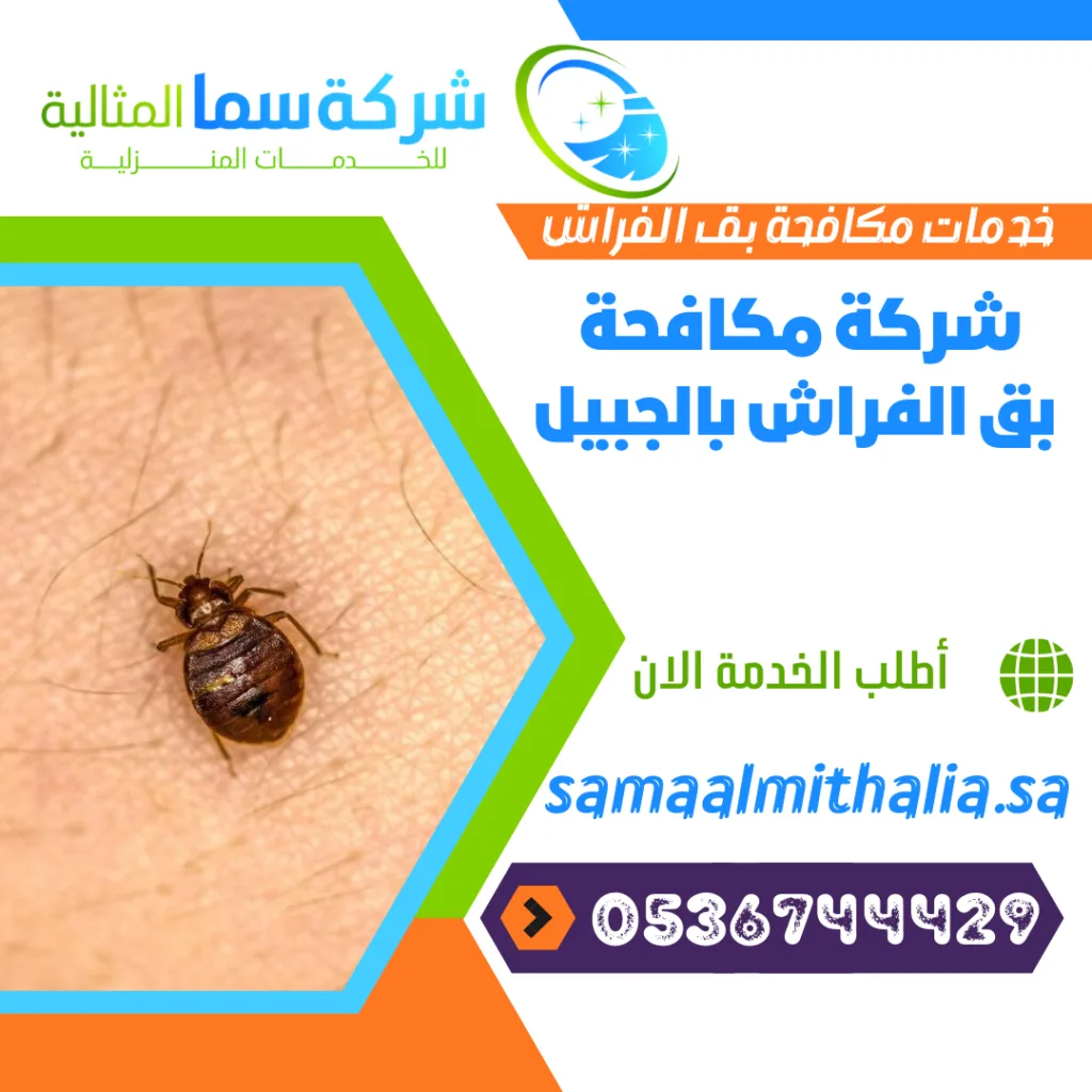 شركة مكافحة بق الفراش بالجبيل