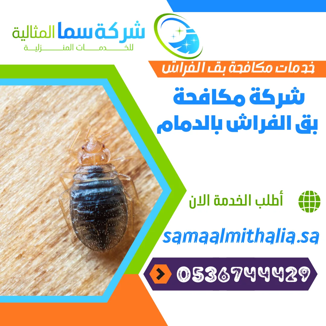 شركة مكافحة بق الفراش بالدمام