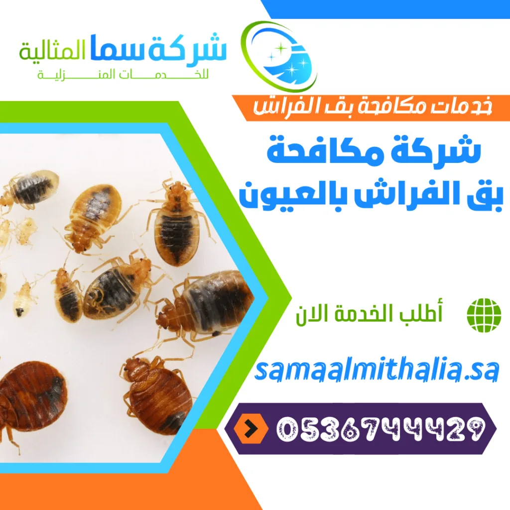 شركة مكافحة بق الفراش بالعيون شركة مكافحة بق الفراش بالعيون