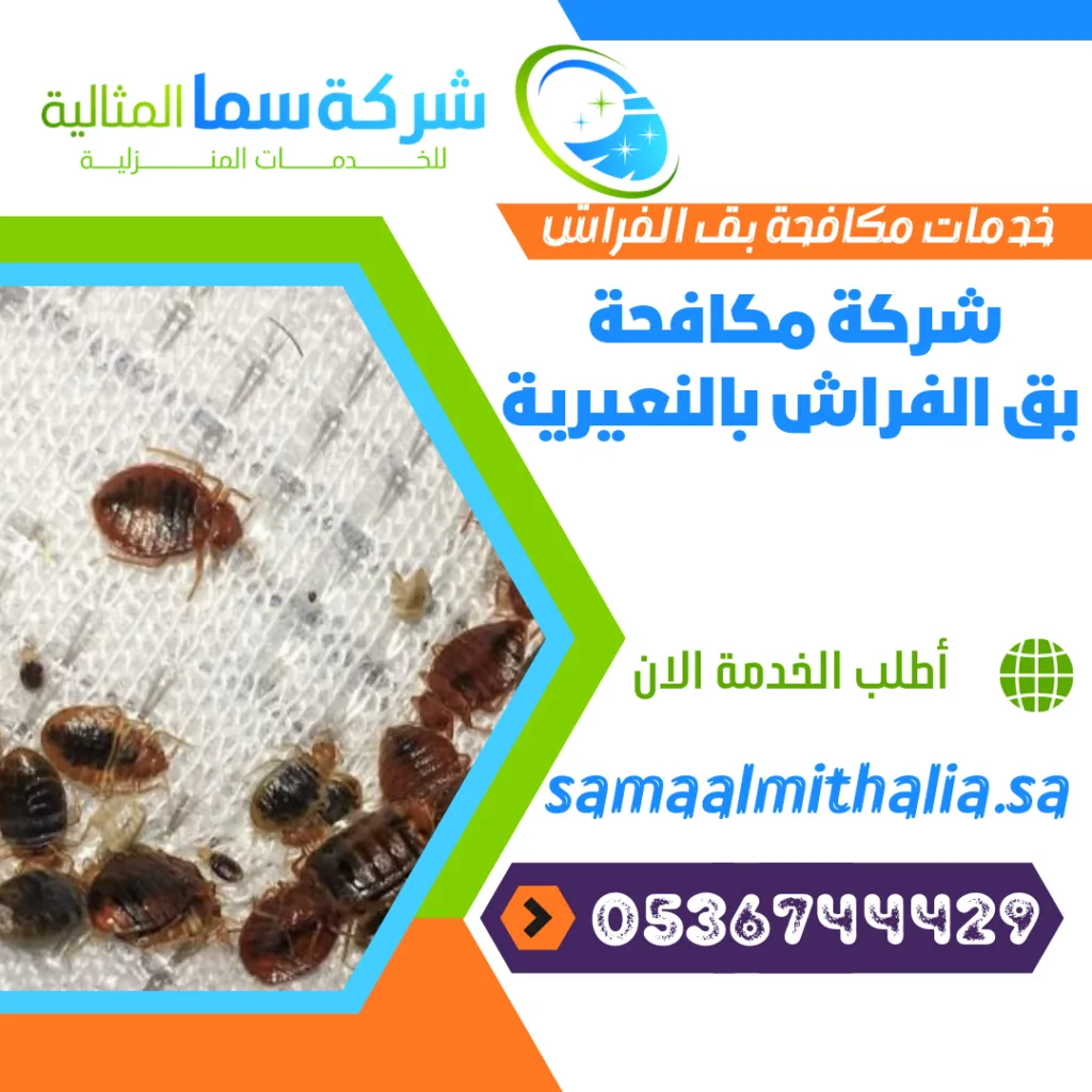 شركة مكافحة بق الفراش بالنعيرية شركة مكافحة بق الفراش بالنعيرية