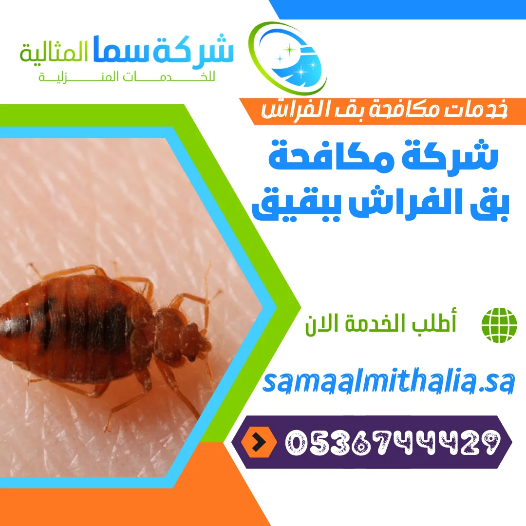 شركة مكافحة بق الفراش ببقيق