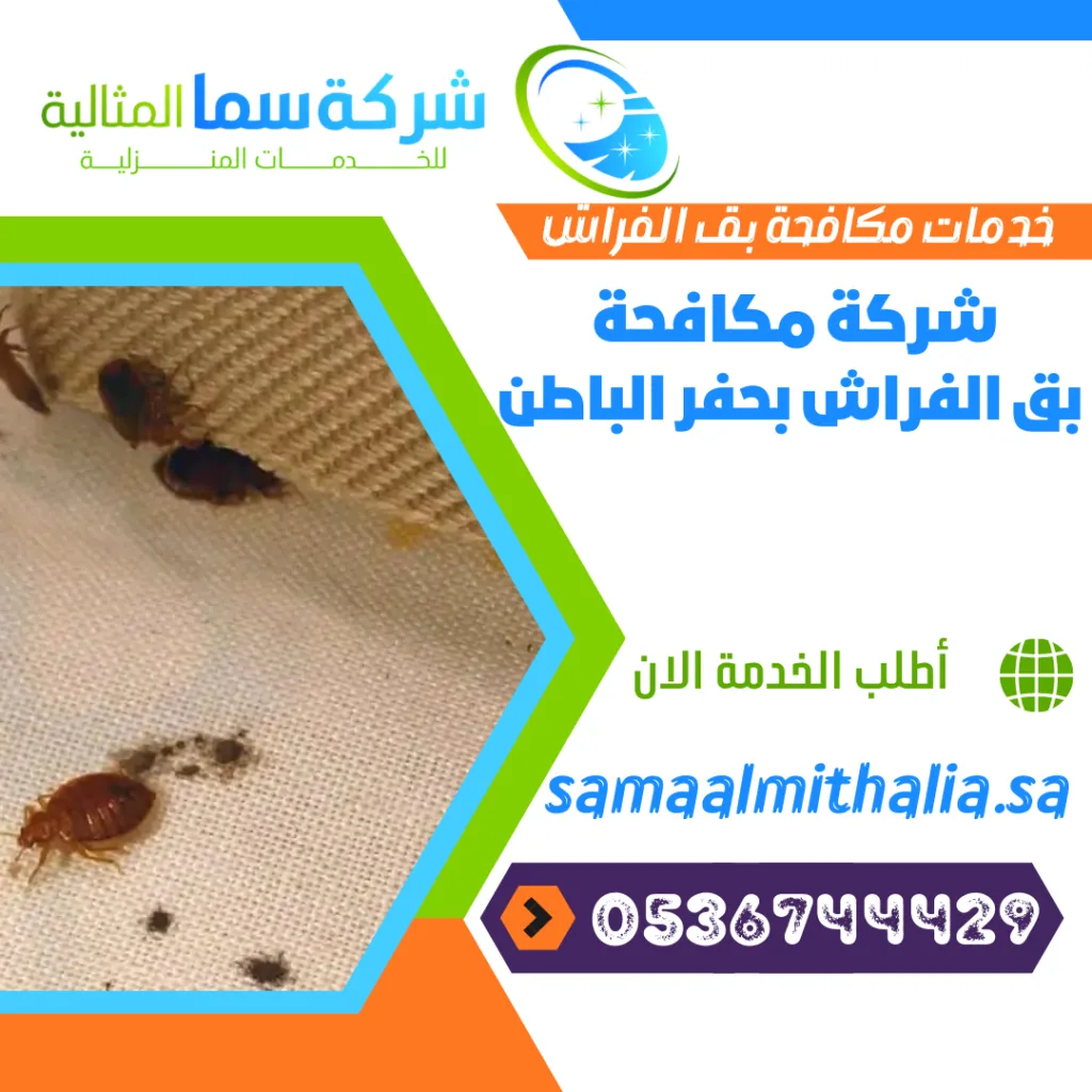 شركة مكافحة بق الفراش بحفر الباطن شركة مكافحة بق الفراش بحفر الباطن