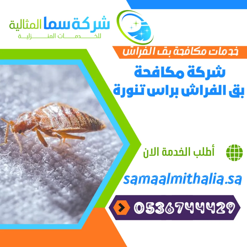 شركة مكافحة بق الفراش براس تنورة