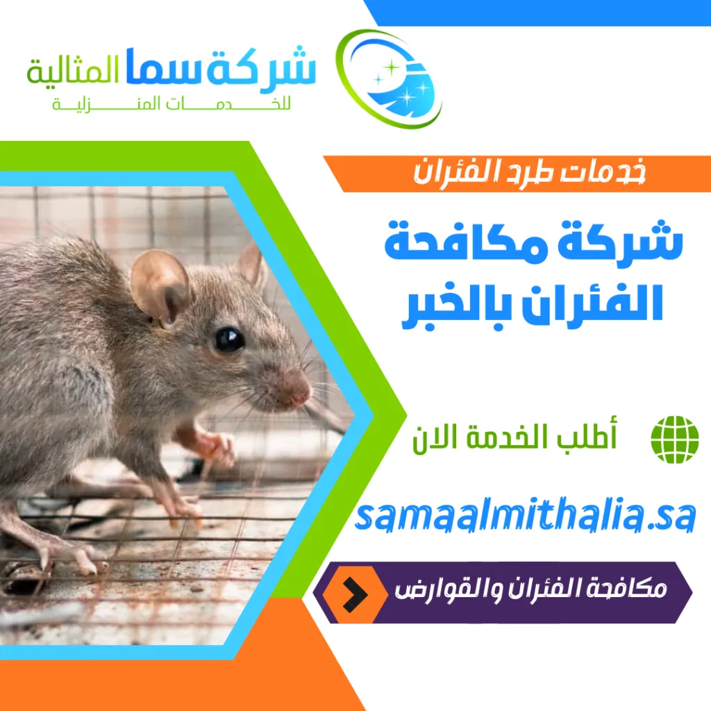 شركة مكافحة الفئران بالخبر